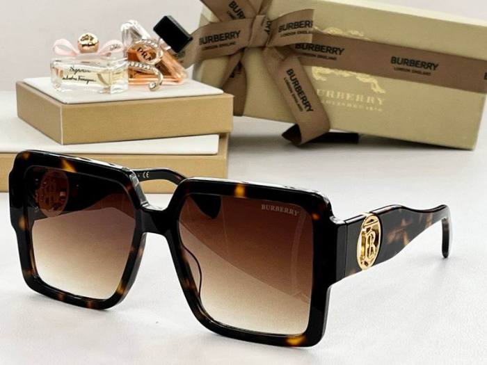 Top Quality B*URBERR Glasses