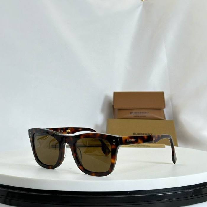 Top Quality B*URBERR Glasses