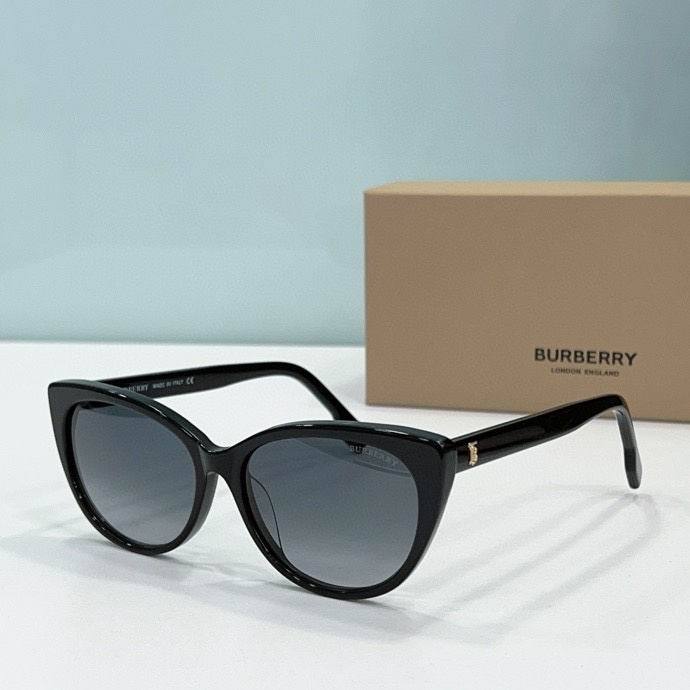 Top Quality B*URBERR Glasses