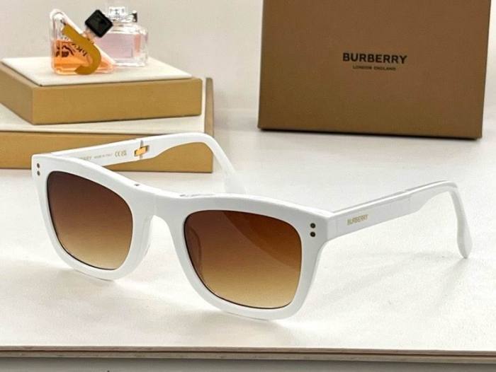 Top Quality B*URBERR Glasses