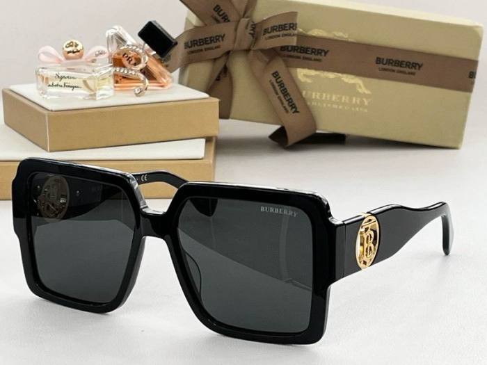 Top Quality B*URBERR Glasses