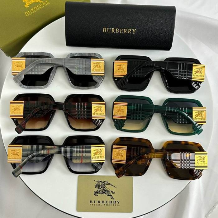 Top Quality B*URBERR Glasses