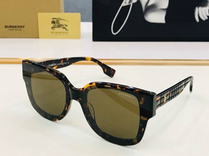 Top Quality B*URBERR Glasses
