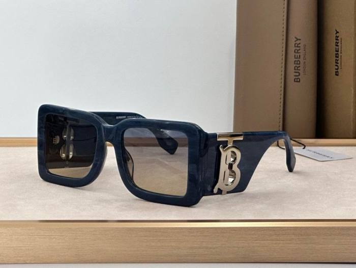 Top Quality B*URBERR Glasses
