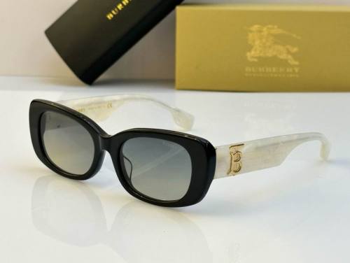 Top Quality B*URBERR Glasses