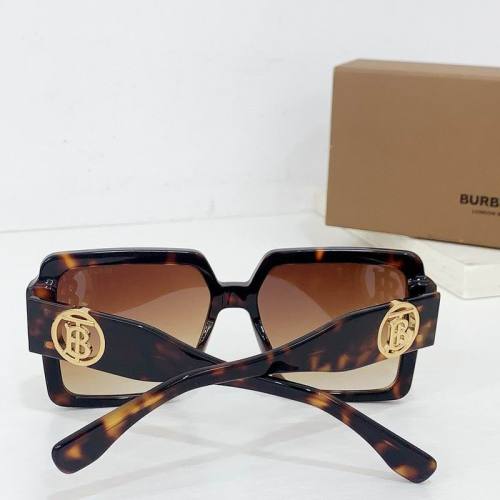 Top Quality B*URBERR Glasses