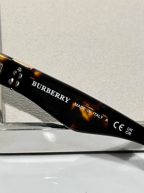 Top Quality B*URBERR Glasses