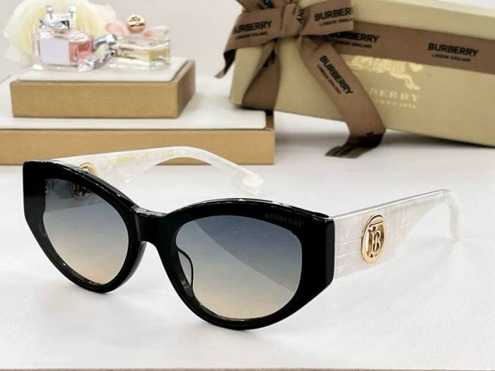Top Quality B*URBERR Glasses