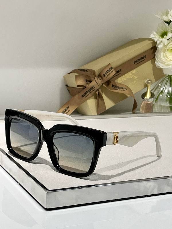 Top Quality B*URBERR Glasses