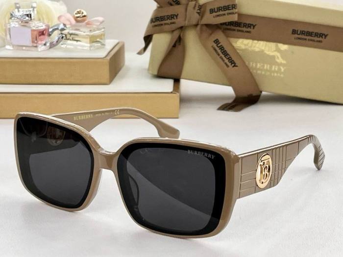 Top Quality B*URBERR Glasses