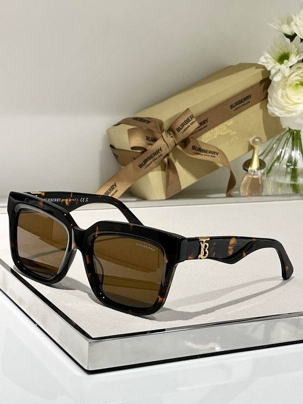 Top Quality B*URBERR Glasses