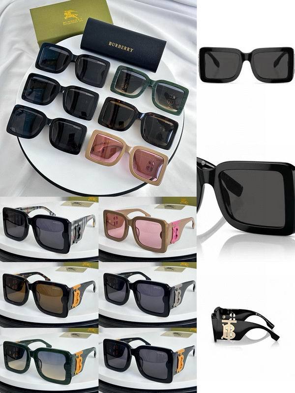 Top Quality B*URBERR Glasses
