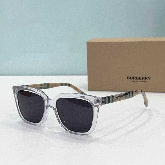 Top Quality B*URBERR Glasses