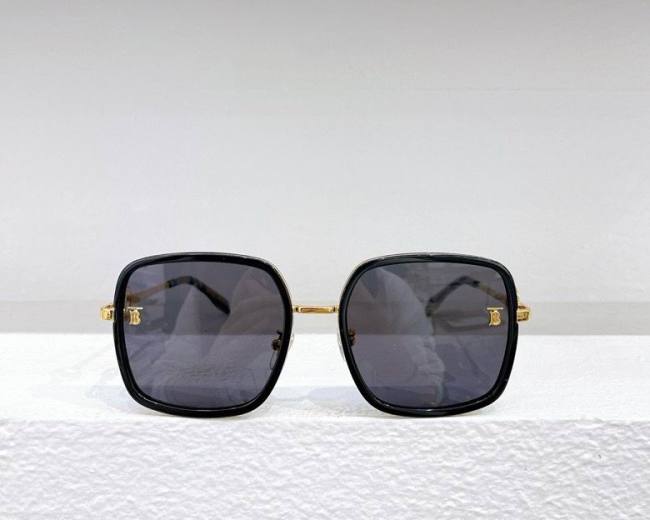 Top Quality B*URBERR Glasses