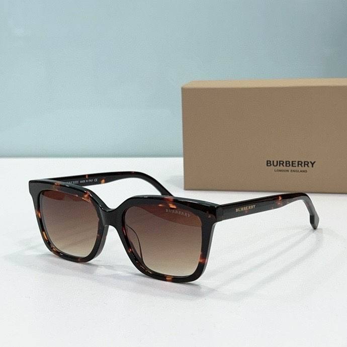 Top Quality B*URBERR Glasses
