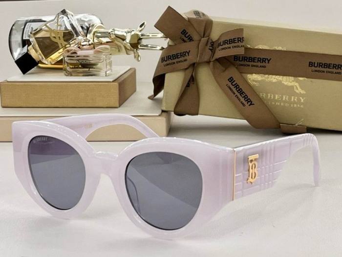 Top Quality B*URBERR Glasses