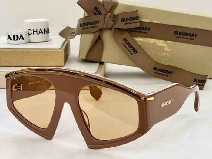 Top Quality B*URBERR Glasses