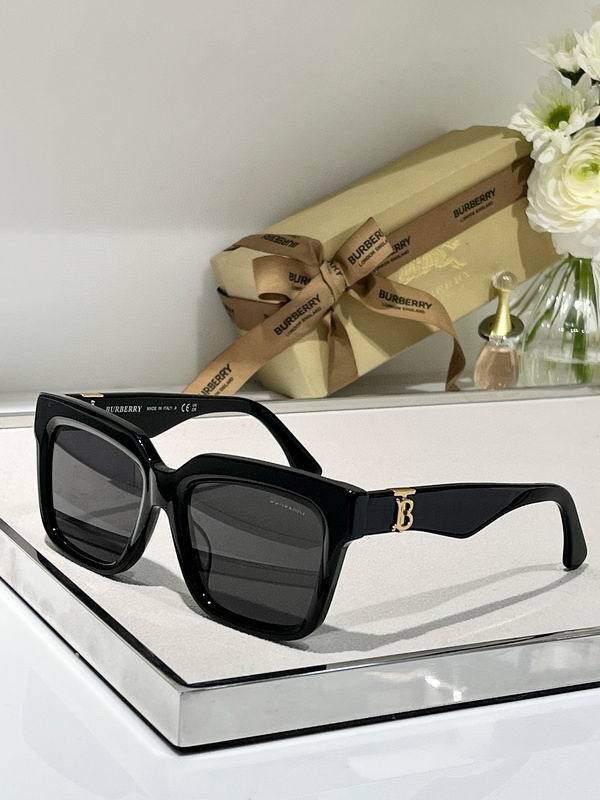 Top Quality B*URBERR Glasses