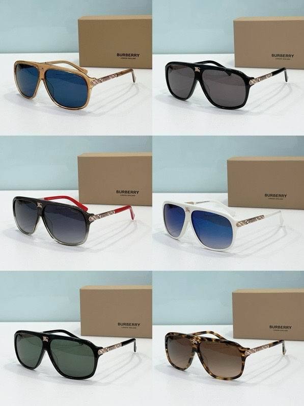 Top Quality B*URBERR Glasses
