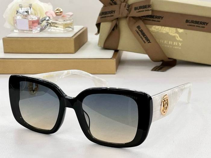 Top Quality B*URBERR Glasses