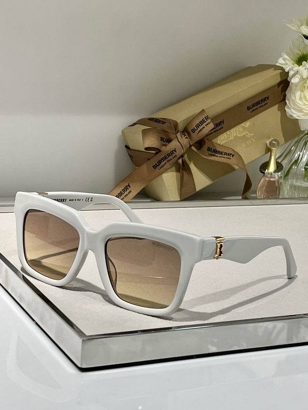 Top Quality B*URBERR Glasses