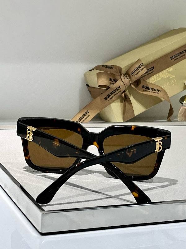 Top Quality B*URBERR Glasses