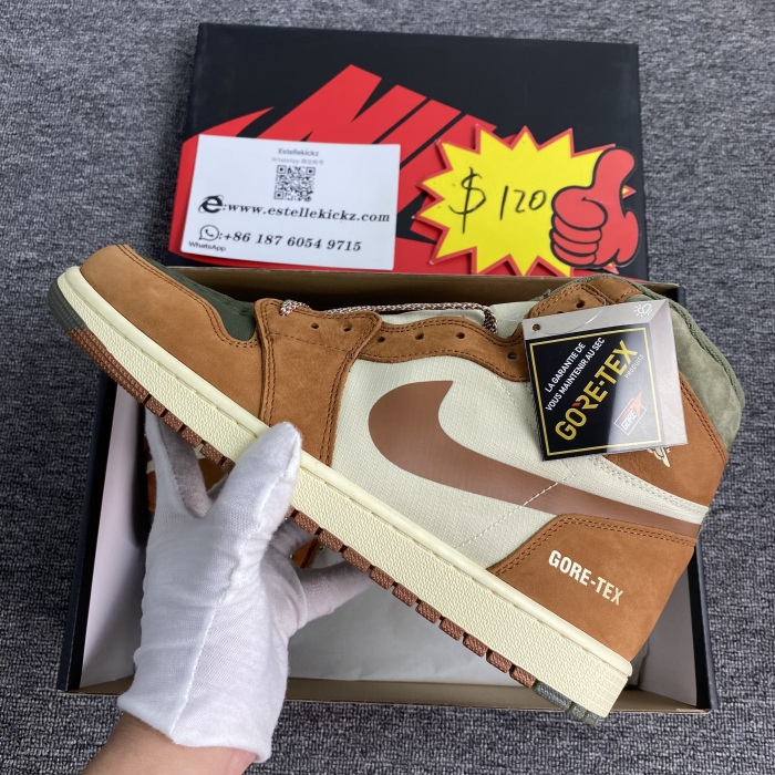 A*J1 Gore-Tex J*ordan 1 High  DB2889-100