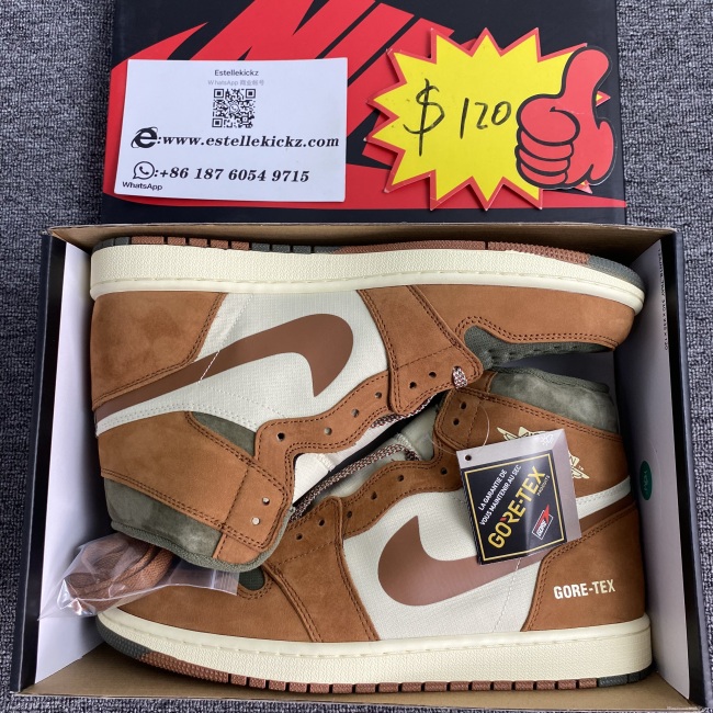 A*J1 Gore-Tex J*ordan 1 High  DB2889-100