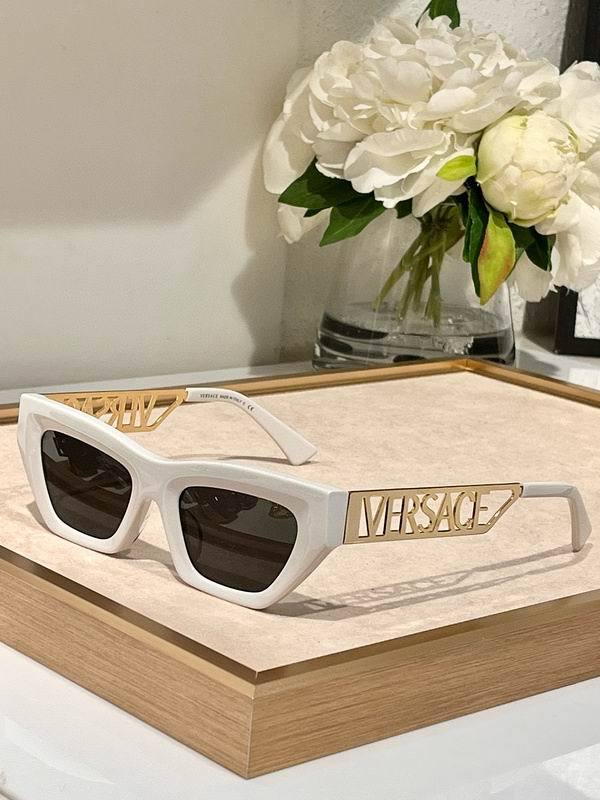 Top Quality  V*ersace Glasses