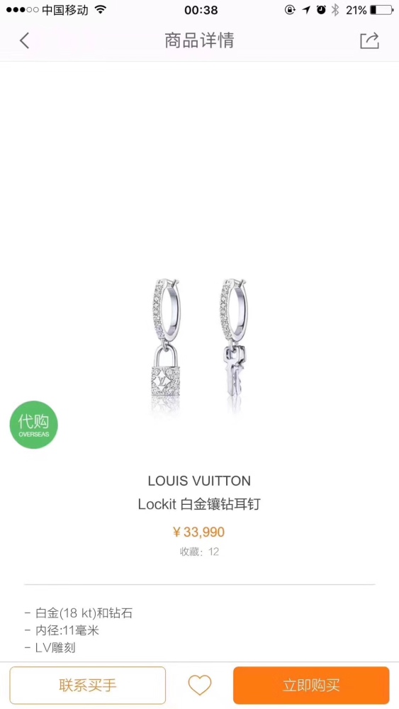 Earrings