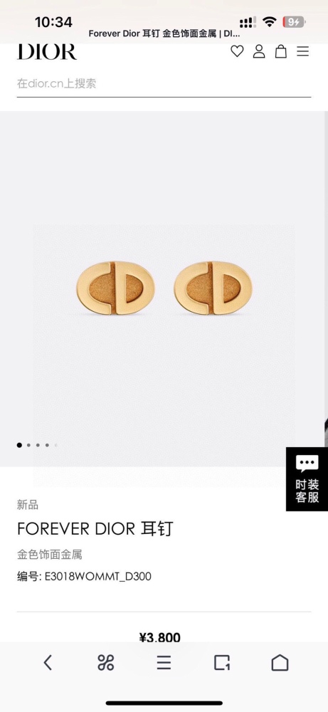 Earrings