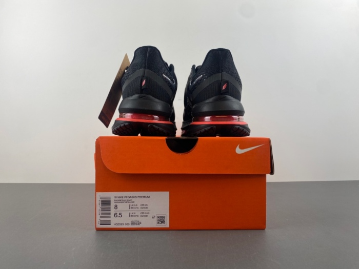 N*ike  Pegasus Premium  HQ2593-003