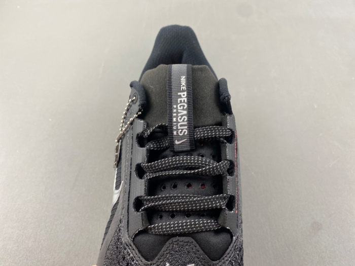 N*ike  Pegasus Premium  HQ2593-003