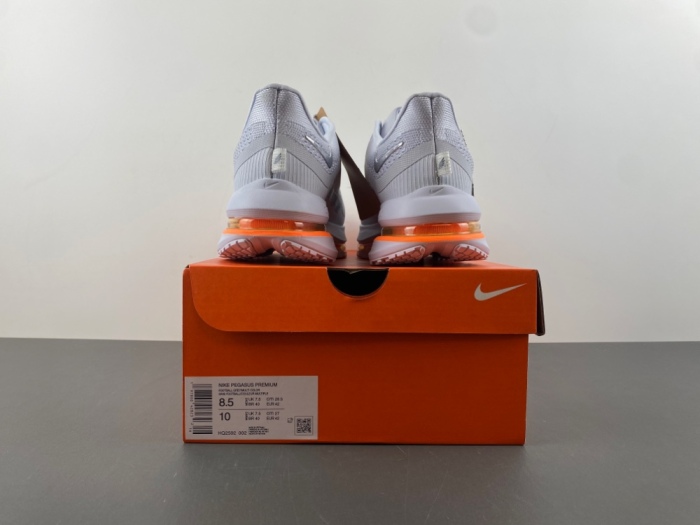 N*ike  Pegasus Premium  HQ2592 002
