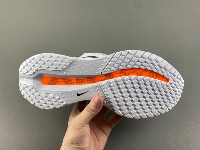 N*ike  Pegasus Premium   HQ2592-001