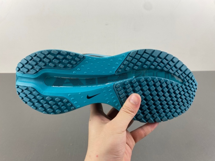 N*ike  Pegasus Premium   HQ2592-006