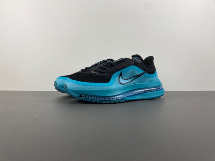 N*ike  Pegasus Premium   HQ2592-006