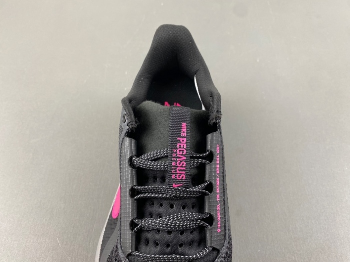 N*ike  Pegasus Premium   HQ2592-003