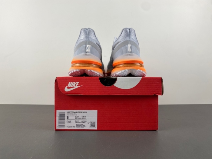 N*ike  Pegasus Premium   HQ2592-002