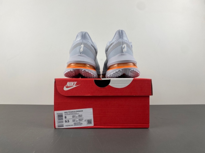 N*ike  Pegasus Premium   HQ2592-001