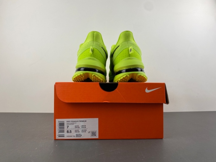 N*ike  Pegasus Premium   HQ2592-700