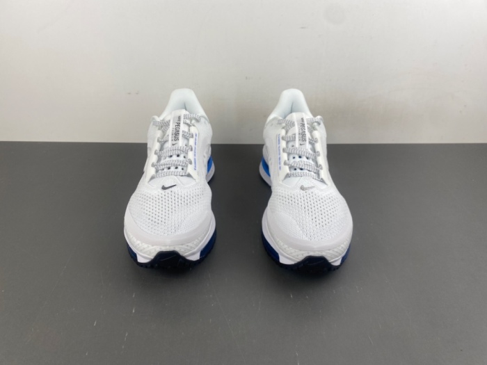 N*ike  Pegasus Premium HQ2592-104