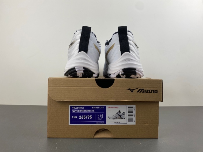 M*izuno V*OLLEYBALL WAVE MOMENTUM ELITE