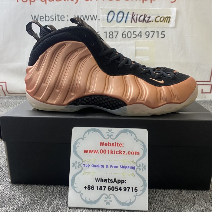 N*ike A*ir F*oamposite One “Metallic Copper” FZ9902-001