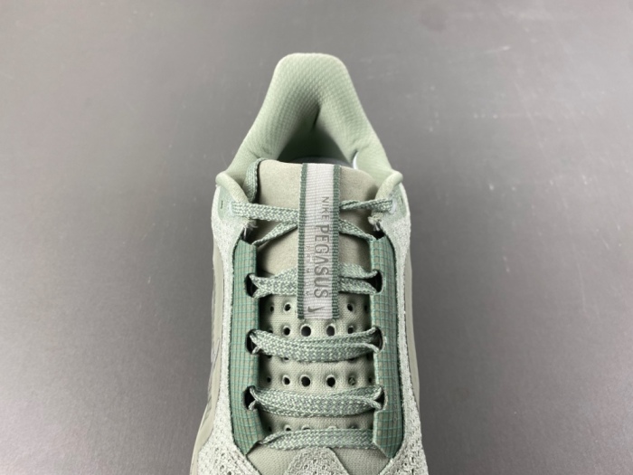 N*ike  Pegasus Premium “Jade Horizon” HQ2592-300