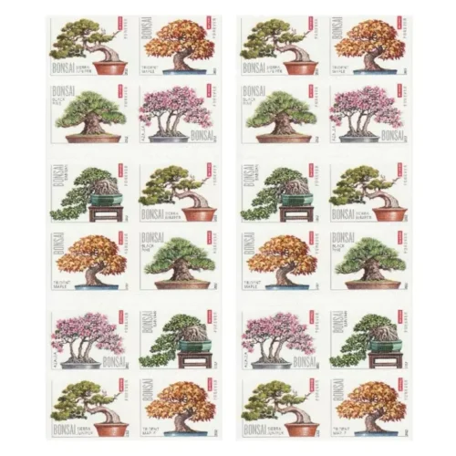 2012 Bonsai Tree 5 Booklets 100pcs