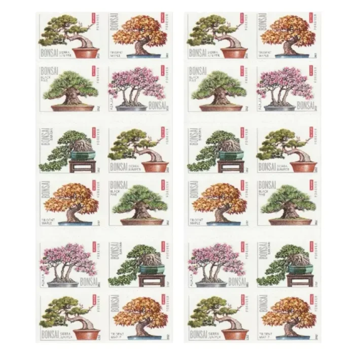 2012 Bonsai Tree 5 Booklets 100pcs