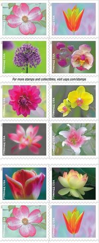 2021 Garden Beauty 5 Booklets 100pcs for roberto