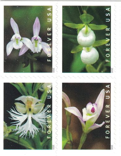 2020 Wild Orchids 5 Booklets 100pcs