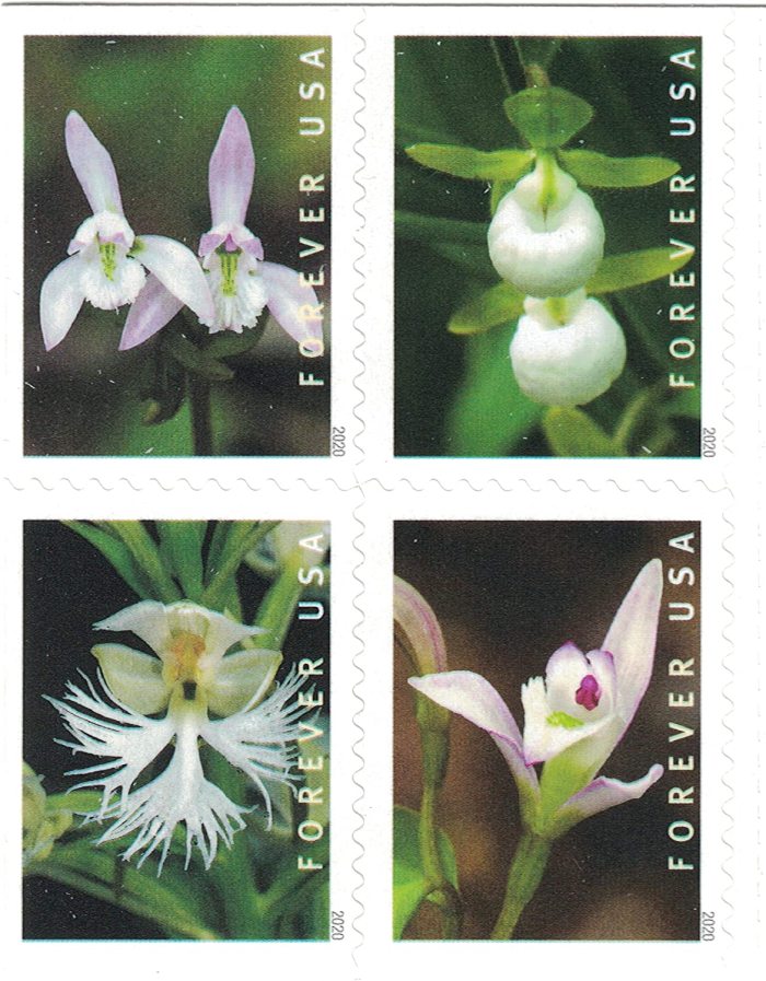 2020 Wild Orchids 5 Booklets 100pcs